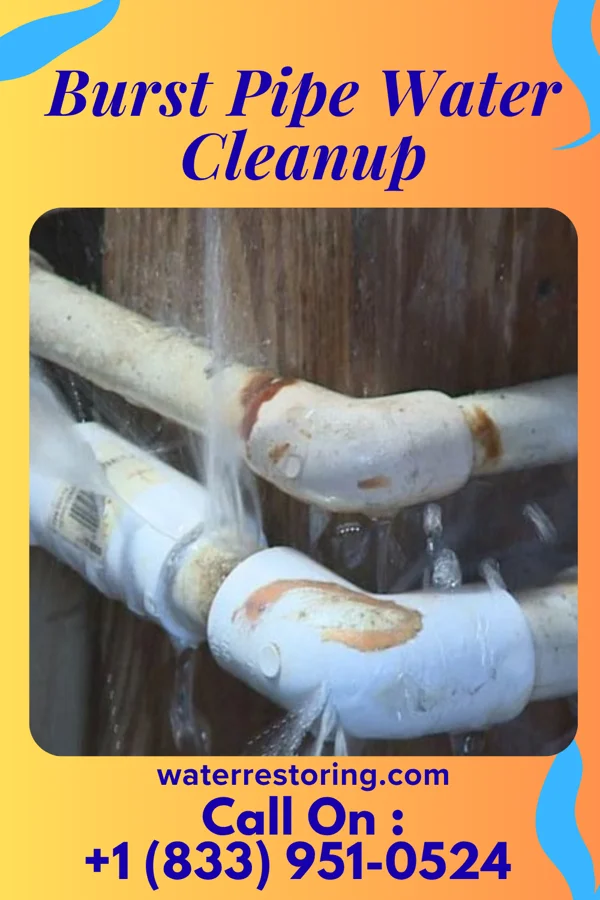 Burst Pipe Water Cleanup in Ada, OH