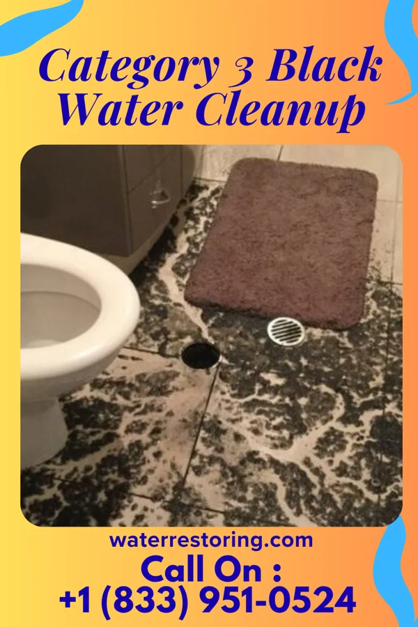 Category 3 Black Water Cleanup in Ada, OH