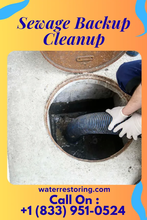 Sewage Backup Cleanup in Ada, OH