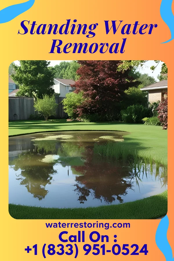 Standing Water Removal in Ada, OH